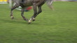 Video: horse race jump close up 02 horse race jump close up 02