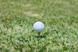 Photo: golf and dimple golf and dimple