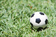 soccer ball