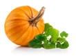 yellow pumpkin vegetable with green leaves isolated on white