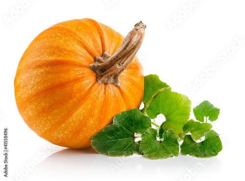 Foto: yellow pumpkin vegetable with green leaves isolated on white yellow pumpkin vegetable with green leaves isolated on white