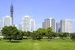 Yokohama City Park at panorama with skyline and skyscrapers
