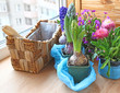 Flowers on balcony Flowers on balcony