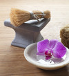 zen still-life