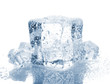 Ice cube