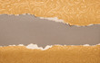 torn old paper texture, element for design