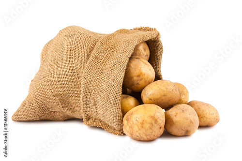 Foto: Raw potatoes in burlap sack Raw potatoes in burlap sack