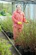 woman chooses bush sprouts woman chooses bush sprouts