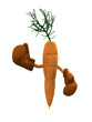 carrot with boxing gloves carrot with boxing gloves
