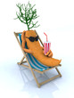carrot resting on a beach chair carrot resting on a beach chair