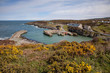 Amlwch Port