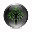 Icône arbre - Ecologie