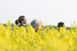 Senior woman and two granddaughters standing in field of canola in bloom, side view