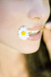 Young woman holding flower in mouth, cropped view