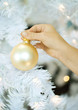 Photo: Child putting ornament on christmas tree Child putting ornament on christmas tree