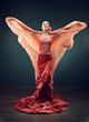 flamenco