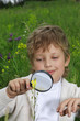 boy with magnifying glass outdoors