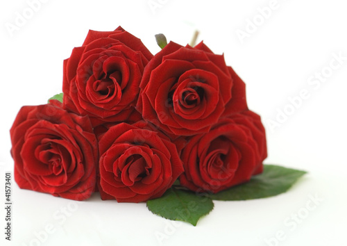 Photo: Red roses Red roses