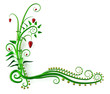 design frame