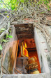 Bodhi tree cover church