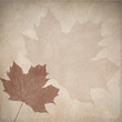 autumnal retro design