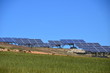 solar farm