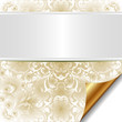 decorative bright background