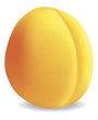 Apricot