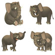 Elephant Pack