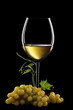 Photo: calice di vino bianco calice di vino bianco