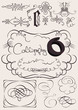vector set: calligraphic design elements and page decoration vector set: calligraphic design elements and page decoration