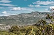 Paysage de Garrigue aride_Garrigue arid landscape. Paysage de Garrigue aride_Garrigue arid landscape.