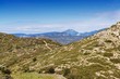 Paysage de Garrigue aride_Garrigue arid landscape.