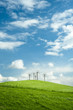 Photo en ligne au meilleur prix Ciel bleu et prairie verte