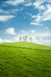 Photo en ligne au meilleur prix Ciel bleu et prairie verte