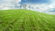 Photo en ligne au meilleur prix Ciel bleu et prairie verte