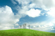 Photo en ligne au meilleur prix Ciel bleu et prairie verte