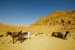Petra