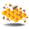 Honeycomb and bees Honeycomb and bees