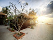 Villa on a beach