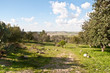 Spring landscape .