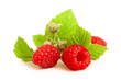 isolated raspberries