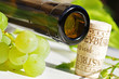Wein