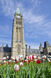 Parliament Hill Ottawa with Tulips