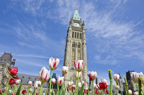 Photo: Parliament Hill Ottawa with Tulips Parliament Hill Ottawa with Tulips