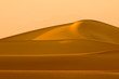 Mesquite sand dunes in Death Valley California