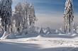 Winter Wonderland