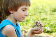 boy cute hugs chiken in hand nature summer outdoor boy cute hugs chiken in hand nature summer outdoor