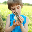 boy cute hugs chiken in hand nature summer outdoor boy cute hugs chiken in hand nature summer outdoor