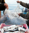 fishers work